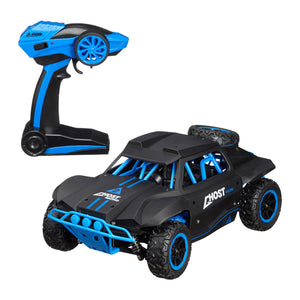 RC fantasma buggy para las arenas 4WD RTR