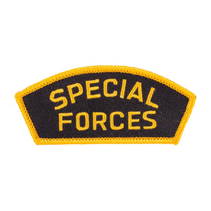 Special Forces Cap Insignia