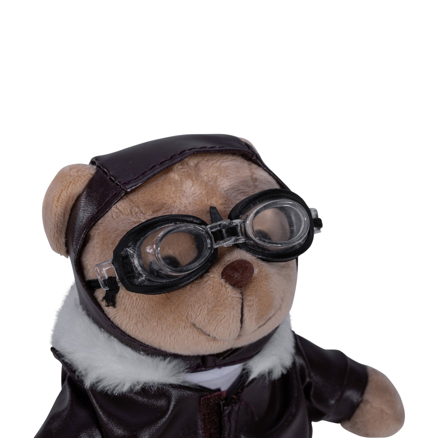 Teddy Bear Pilot