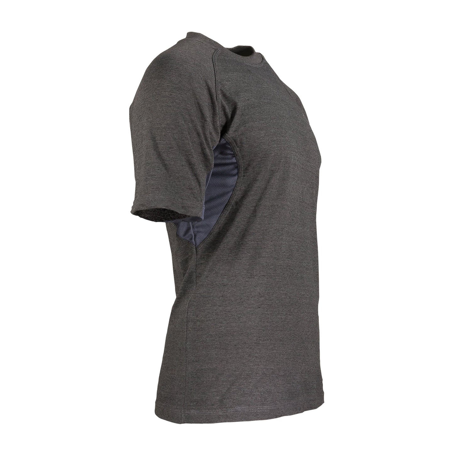 Camiseta Aesir Tour gris