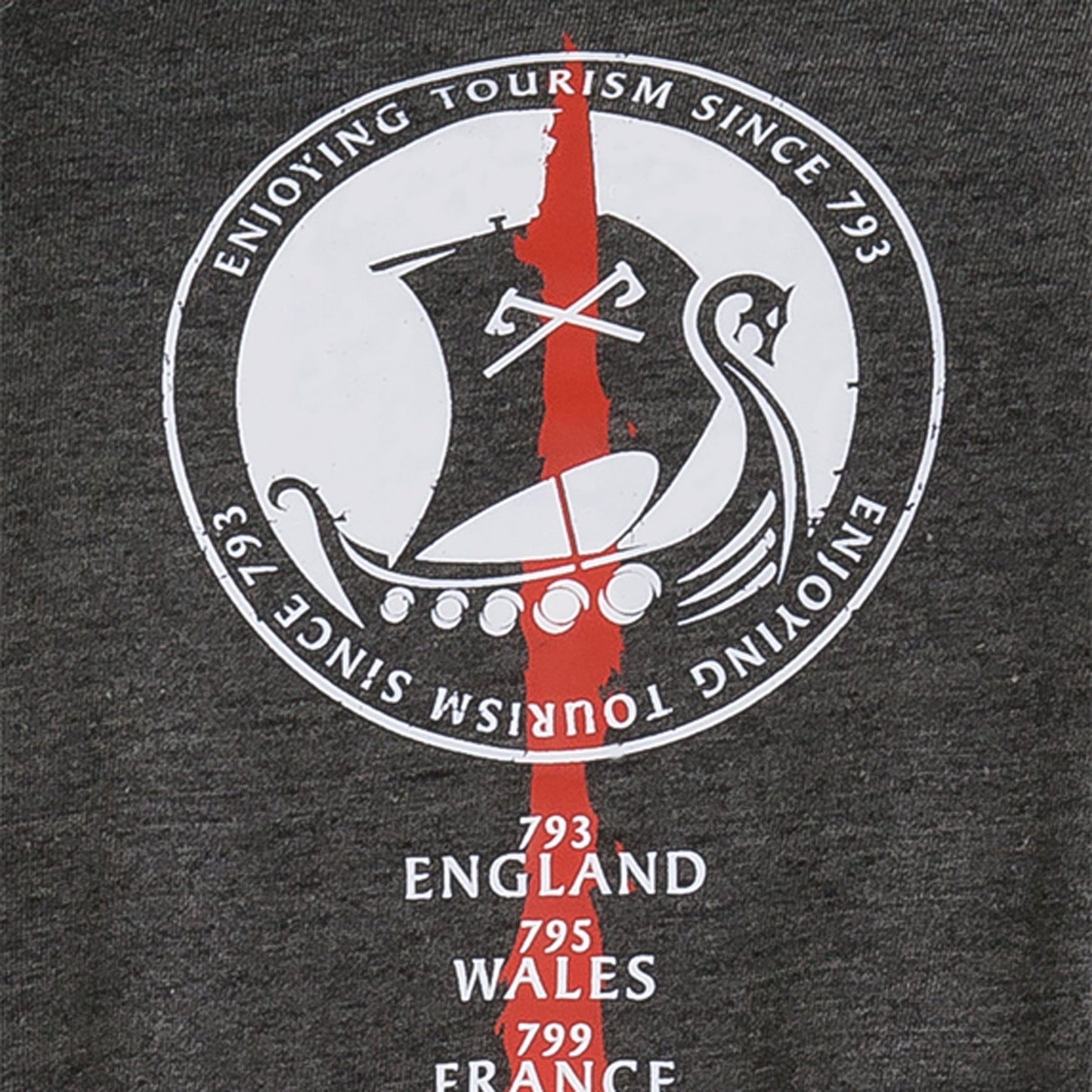 Camiseta Aesir Tour gris